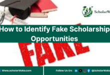 How to Identify Fake Scholarship Opportunities | Scholarship Guide - ScholarWaka