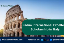 Padua International Excellence Scholarship in Italy | How to Apply - ScholarWaka