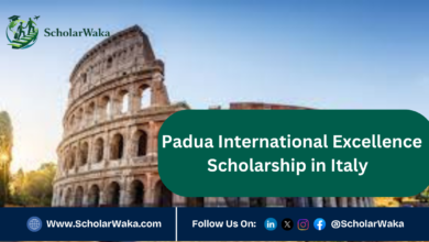 Padua International Excellence Scholarship in Italy | How to Apply - ScholarWaka