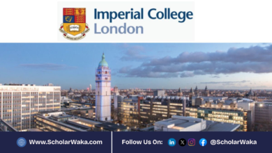 School of Public Health Master's Scholarships at Imperial College London in UK | How to Apply - ScholarWaka