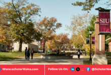 Southern Illinois University Scholarship in USA | Fully Funded - ScholarWaka