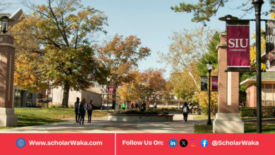 Southern Illinois University Scholarship in USA | Fully Funded - ScholarWaka