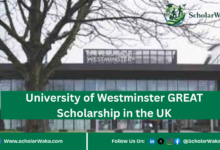 University of Westminster GREAT Scholarship in the UK | How to Apply - ScholarWaka