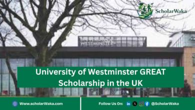 University of Westminster GREAT Scholarship in the UK | How to Apply - ScholarWaka