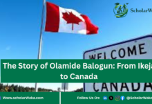 The Story of Olamide Balogun: From Ikeja to Canada - ScholarWaka