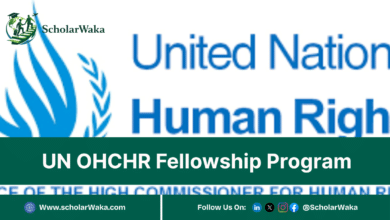 UN OHCHR Fellowship Program in Switzerland | Fully Funded - ScholarWaka