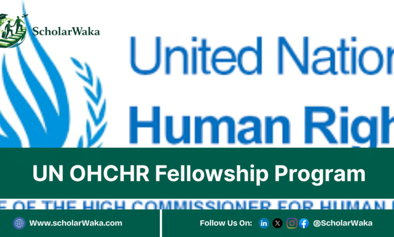 UN OHCHR Fellowship Program in Switzerland | Fully Funded - ScholarWaka
