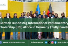 German Bundestag International Parliamentary Scholarship (IPS) Africa in Germany | Fully Funded - ScholarWaka