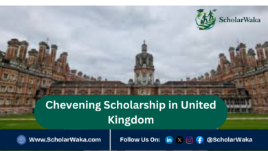 Chevening Scholarship in United Kingdom | Fully Funded - ScholarWaka