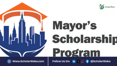 Mayor's Scholarship Program for Undergraduate in USA | How to Apply - ScholarWaka
