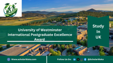 University of Westminster International Postgraduate Excellence Award | How to Apply - ScholarWaka