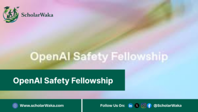 OpenAI Safety Fellowship | Fully Funded - ScholarWaka