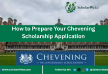 How to Prepare Your Chevening Scholarship Application | Scholarship Guide - ScholarWaka
