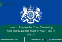 How to Prepare for Your Chevening Year and Make the Most of Your Time in the UK | Scholarship Guide - ScholarWaka