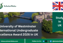 University of Westminster International Undergraduate Excellence Award in UK | How to Apply - ScholarWaka