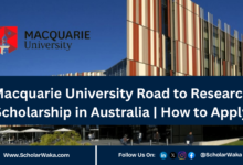 Macquarie University Road to Research Scholarship in Australia | How to Apply - ScholarWaka