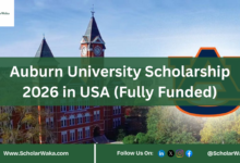 Auburn University Scholarship in USA (Fully Funded) - ScholarWaka