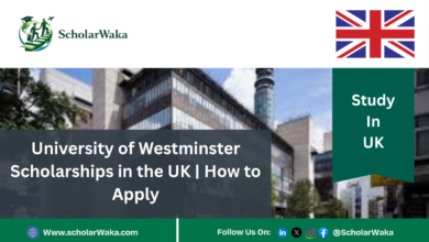 University of Westminster Scholarships in the UK | How to Apply - ScholarWaka