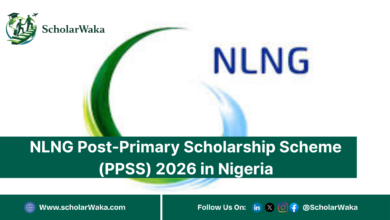 NLNG Post-Primary Scholarship Scheme (PPSS) in Nigeria | Apply Now - ScholarWaka