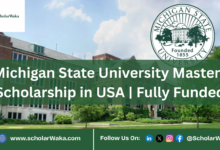 Michigan State University Masters Scholarship in USA | Fully Funded - ScholarWaka