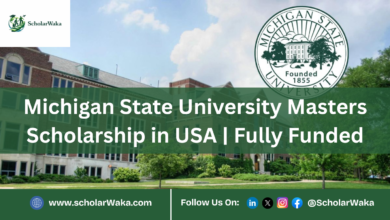 Michigan State University Masters Scholarship in USA | Fully Funded - ScholarWaka