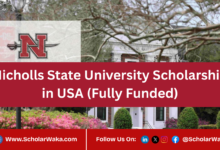 Nicholls State University Scholarship in USA (Fully Funded) - ScholarWaka