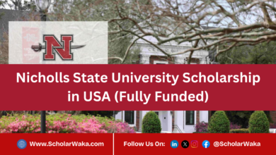 Nicholls State University Scholarship in USA (Fully Funded) - ScholarWaka