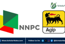 NAE Postgraduate Scholarship in Nigeria | Fully Funded - ScholarWaka