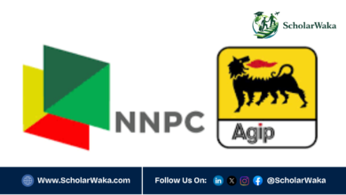 NAE Postgraduate Scholarship in Nigeria | Fully Funded - ScholarWaka