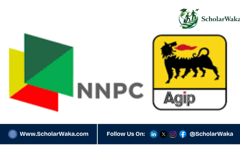 NAE Postgraduate Scholarship in Nigeria | Fully Funded - ScholarWaka