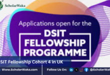 DSIT Fellowship Cohort 4 in UK | How to Apply - ScholarWaka