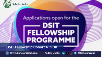 DSIT Fellowship Cohort 4 in UK | How to Apply - ScholarWaka