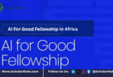 AI For Good Fellowship in Africa | Apply Now - ScholarWaka