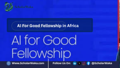 AI For Good Fellowship in Africa | Apply Now - ScholarWaka