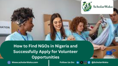 How to Find NGOs in Nigeria and Successfully Apply for Volunteer Opportunities - ScholarWaka