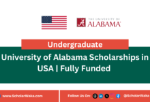 University of Alabama Scholarships in USA | Fully Funded - ScholarWaka