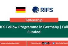 RIFS Fellow Programme in Germany | Fully Funded - ScholarWaka