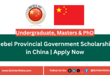 Hebei Provincial Government Scholarship in China | Apply Now - ScholarWaka