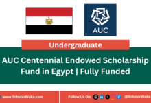 AUC Centennial Endowed Scholarship Fund in Egypt | Fully Funded - ScholarWaka
