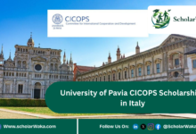 University of Pavia CICOPS Scholarships in Italy | Apply Now - ScholarWaka