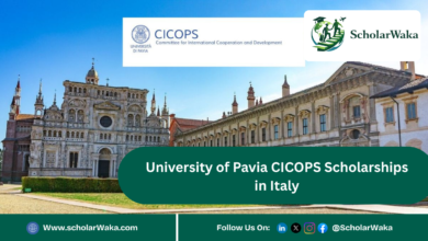 University of Pavia CICOPS Scholarships in Italy | Apply Now - ScholarWaka