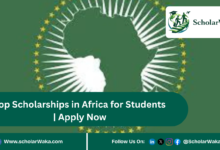 Top Scholarships in Africa for Students | Apply Now - ScholarWaka