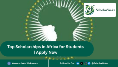 Top Scholarships in Africa for Students | Apply Now - ScholarWaka