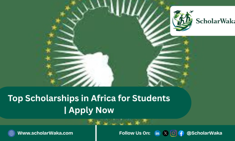 Top Scholarships in Africa for Students | Apply Now - ScholarWaka