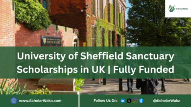 University of Sheffield Sanctuary Scholarships in UK | Fully Funded - ScholarWaka