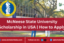 McNeese State University Scholarship in USA | How to Apply - ScholarWaka