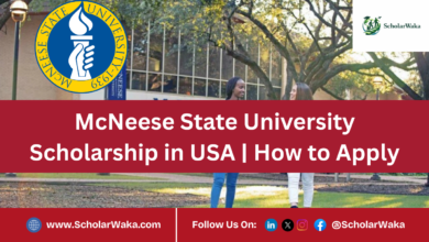 McNeese State University Scholarship in USA | How to Apply - ScholarWaka
