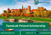 FameLab Poland Scholarship | Apply Now - ScholarWaka