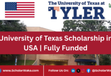 University of Texas Scholarship in USA | Fully Funded - ScholarWaka