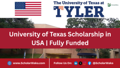 University of Texas Scholarship in USA | Fully Funded - ScholarWaka